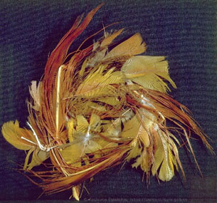 Figura 5. Plumas en colores rojo y dorado procedentes de Honduras. Fuente. Archivo General de Indias. MP-INGENIOS, 176.