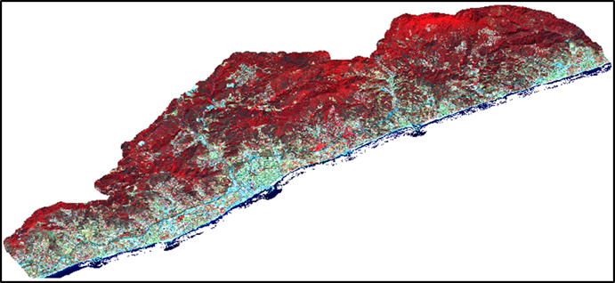 Figura 2. Imatge Sentinel-2 de la zona a estudi, captada el 26/08/2016.